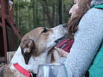 Click to see YE-DSCF2118.JPG