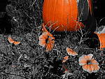 Click to see YE-DSCF2137.JPG