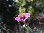 Click to see YE-DSCF2148.JPG