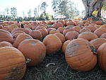 Click to see YE-DSCF2156.JPG