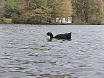 Click to see YE-DSCF2235.JPG