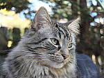 Click to see YE-DSCF2271.JPG