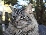 Click to see YE-DSCF2274.JPG