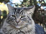 Click to see YE-DSCF2276.JPG