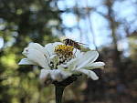 Click to see YE-DSCF2302.JPG