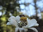 Click to see YE-DSCF2304.JPG