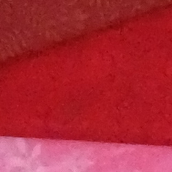 100% crop from Fujifilm X30 test image taken at ISO 1600