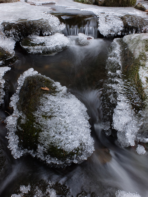 Fujifilm X30 Review -- Gallery Photo
