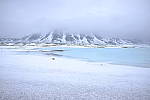 Click to see Y_DSF0182.JPG