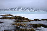 Click to see Y_DSF0186.JPG