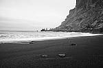 Click to see Y_DSF0267.JPG
