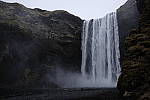 Click to see Y_DSF0295.JPG
