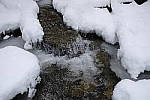 Click to see Y_DSF0335.JPG