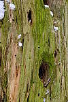 Click to see Y_DSF0357.JPG