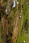 Click to see Y_DSF0358.JPG
