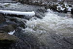 Click to see Y_DSF0368.JPG