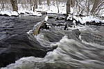 Click to see Y_DSF0373.JPG