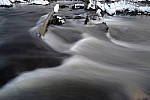 Click to see Y_DSF0387.JPG