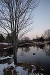 Click to see Y_DSF0399.JPG