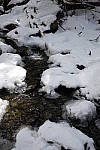 Click to see Y_DSF0431-AdvFltr-None.JPG