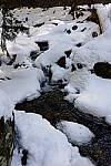 Click to see Y_DSF0464.JPG