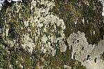 Click to see Y_DSF0470-35mm.JPG
