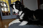 Click to see Y_DSF0561-Flash.JPG