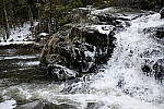 Click to see Y_DSF0624.JPG