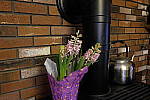 Click to see Y_DSF0631-ISO-3200.JPG