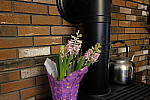 Click to see Y_DSF0632-ISO-6400.JPG