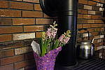 Click to see Y_DSF0634-ISO-25600.JPG