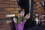 Click to see Y_DSF0635-ISO-51200.JPG