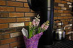 Click to see Y_DSF0639-NR+2.JPG
