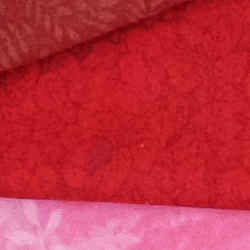 100% crop from Fujifilm X70 test image taken at ISO 1600