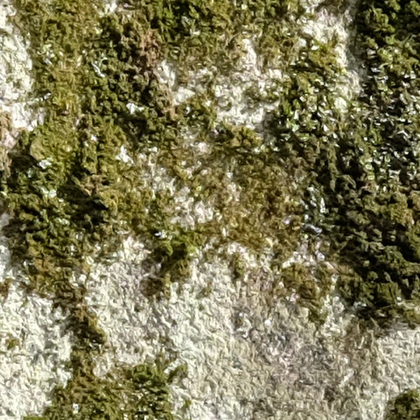 Panasonic FZ300 Field Test -- 25mm Aperture Test Image
