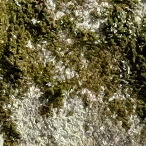 Panasonic FZ300 Field Test -- 25mm Aperture Test Image