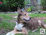 Click to see Y_DSCF6390.JPG