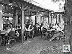 Click to see Y_FX_6424.JPG