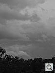 Click to see Y_MONO-R_6353.JPG