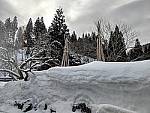 Click to see Y-IMG_20180307_074933.jpg