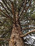Click to see Y-IMG_20180318_105705.jpg