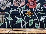 Click to see Y-IMG_20180322_130838.jpg