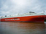 Click to see Y-B0000074-EDIT.jpg