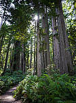 Click to see Y-B0000106-EDIT.jpg