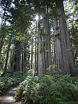 Click to see Y-B0000106.jpg