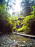Click to see Y-B0000128-EDIT.jpg