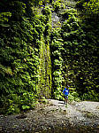Click to see Y-B0000131-EDIT.jpg