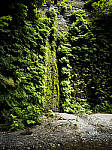 Click to see Y-B0000132-EDIT.jpg