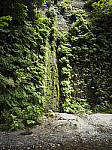 Click to see Y-B0000132.jpg