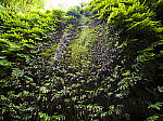 Click to see Y-B0000143-EDIT.jpg